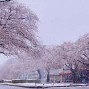 ヒメ日記 2025/03/04 21:45 投稿 はな ぽっちゃりきぶん