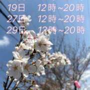 ヒメ日記 2025/04/03 19:43 投稿 はな ぽっちゃりきぶん