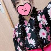 ヒメ日記 2025/07/20 12:02 投稿 はな ぽっちゃりきぶん