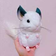 ヒメ日記 2025/08/25 08:15 投稿 はな ぽっちゃりきぶん