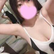 ヒメ日記 2025/09/28 10:37 投稿 はな ぽっちゃりきぶん