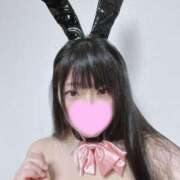 ヒメ日記 2025/11/24 10:30 投稿 はな ぽっちゃりきぶん