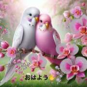 ヒメ日記 2024/12/13 06:33 投稿 すみ 即アポ奥さん ～津・松阪店～