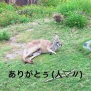 ヒメ日記 2024/12/14 07:37 投稿 すみ 即アポ奥さん ～津・松阪店～