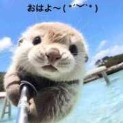 ヒメ日記 2024/12/15 10:33 投稿 すみ 即アポ奥さん ～津・松阪店～