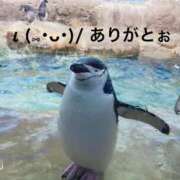 ヒメ日記 2024/12/17 14:43 投稿 すみ 即アポ奥さん ～津・松阪店～
