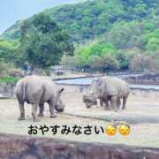 ヒメ日記 2024/12/17 21:27 投稿 すみ 即アポ奥さん ～津・松阪店～