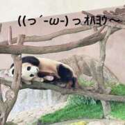 ヒメ日記 2024/12/19 06:33 投稿 すみ 即アポ奥さん ～津・松阪店～