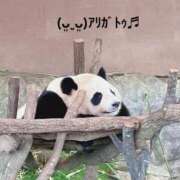 ヒメ日記 2024/12/21 14:43 投稿 すみ 即アポ奥さん ～津・松阪店～