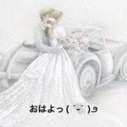 ヒメ日記 2024/12/22 07:43 投稿 すみ 即アポ奥さん ～津・松阪店～