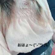 ヒメ日記 2024/12/23 06:13 投稿 すみ 即アポ奥さん ～津・松阪店～