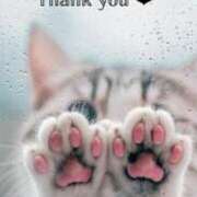 ヒメ日記 2025/01/04 18:13 投稿 すみ 即アポ奥さん ～津・松阪店～