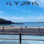 ヒメ日記 2025/01/04 22:22 投稿 すみ 即アポ奥さん ～津・松阪店～