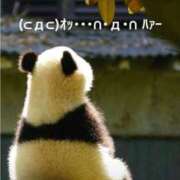 ヒメ日記 2025/01/20 06:43 投稿 すみ 即アポ奥さん ～津・松阪店～