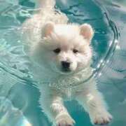 ヒメ日記 2025/01/23 06:49 投稿 すみ 即アポ奥さん ～津・松阪店～