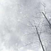 ヒメ日記 2025/02/07 21:03 投稿 すみ 即アポ奥さん ～津・松阪店～