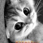 ヒメ日記 2025/02/10 22:23 投稿 すみ 即アポ奥さん ～津・松阪店～