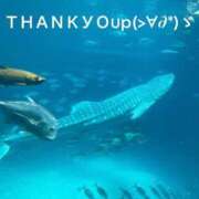 ヒメ日記 2025/02/16 15:33 投稿 すみ 即アポ奥さん ～津・松阪店～