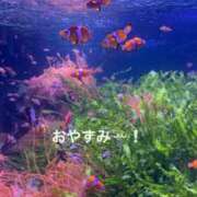 ヒメ日記 2025/02/24 21:39 投稿 すみ 即アポ奥さん ～津・松阪店～