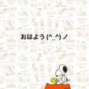 ヒメ日記 2025/03/09 07:27 投稿 すみ 即アポ奥さん ～津・松阪店～