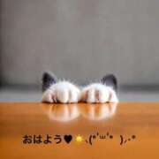 ヒメ日記 2025/03/15 07:04 投稿 すみ 即アポ奥さん ～津・松阪店～