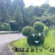 ヒメ日記 2025/03/16 07:04 投稿 すみ 即アポ奥さん ～津・松阪店～