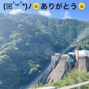 ヒメ日記 2025/03/22 21:54 投稿 すみ 即アポ奥さん ～津・松阪店～