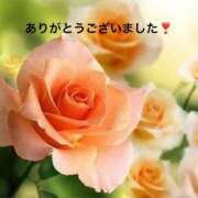 ヒメ日記 2025/04/06 13:54 投稿 すみ 即アポ奥さん ～津・松阪店～