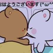 ヒメ日記 2025/04/15 06:34 投稿 すみ 即アポ奥さん ～津・松阪店～