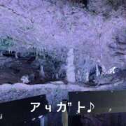 ヒメ日記 2025/04/22 20:06 投稿 すみ 即アポ奥さん ～津・松阪店～