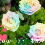 ヒメ日記 2025/04/30 06:44 投稿 すみ 即アポ奥さん ～津・松阪店～