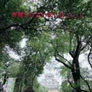 ヒメ日記 2025/05/05 12:32 投稿 すみ 即アポ奥さん ～津・松阪店～