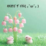 ヒメ日記 2025/05/06 07:54 投稿 すみ 即アポ奥さん ～津・松阪店～