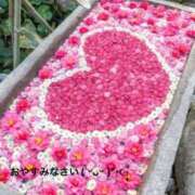 ヒメ日記 2025/05/06 20:14 投稿 すみ 即アポ奥さん ～津・松阪店～