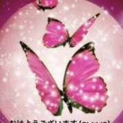 ヒメ日記 2025/05/08 06:34 投稿 すみ 即アポ奥さん ～津・松阪店～