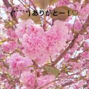 ヒメ日記 2025/05/09 16:34 投稿 すみ 即アポ奥さん ～津・松阪店～