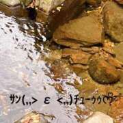 ヒメ日記 2025/05/18 13:34 投稿 すみ 即アポ奥さん ～津・松阪店～
