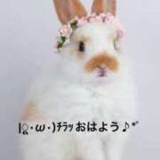 ヒメ日記 2025/05/20 06:54 投稿 すみ 即アポ奥さん ～津・松阪店～