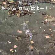 ヒメ日記 2025/05/21 06:24 投稿 すみ 即アポ奥さん ～津・松阪店～