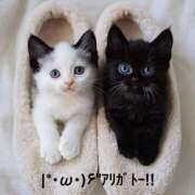 ヒメ日記 2025/05/21 13:44 投稿 すみ 即アポ奥さん ～津・松阪店～