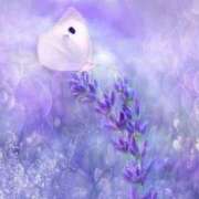 ヒメ日記 2025/05/23 15:24 投稿 すみ 即アポ奥さん ～津・松阪店～