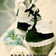 ヒメ日記 2025/05/24 17:24 投稿 すみ 即アポ奥さん ～津・松阪店～