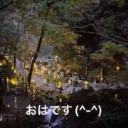 ヒメ日記 2025/06/01 08:11 投稿 すみ 即アポ奥さん ～津・松阪店～