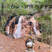 ヒメ日記 2025/06/06 22:14 投稿 すみ 即アポ奥さん ～津・松阪店～