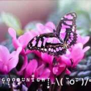 ヒメ日記 2025/06/12 21:50 投稿 すみ 即アポ奥さん ～津・松阪店～