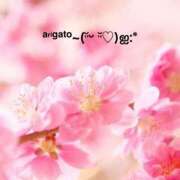 ヒメ日記 2025/06/16 14:54 投稿 すみ 即アポ奥さん ～津・松阪店～