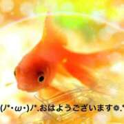 ヒメ日記 2025/06/17 06:59 投稿 すみ 即アポ奥さん ～津・松阪店～