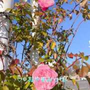 ヒメ日記 2025/06/19 20:34 投稿 すみ 即アポ奥さん ～津・松阪店～