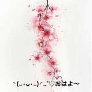 ヒメ日記 2025/06/21 07:33 投稿 すみ 即アポ奥さん ～津・松阪店～