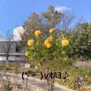 ヒメ日記 2025/06/22 07:44 投稿 すみ 即アポ奥さん ～津・松阪店～